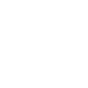 Security & Fire Leasing